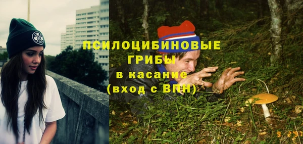 apvp Белокуриха
