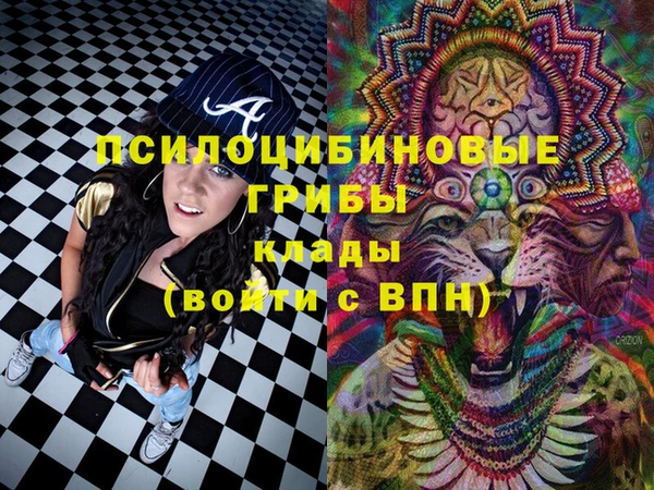 apvp Белокуриха